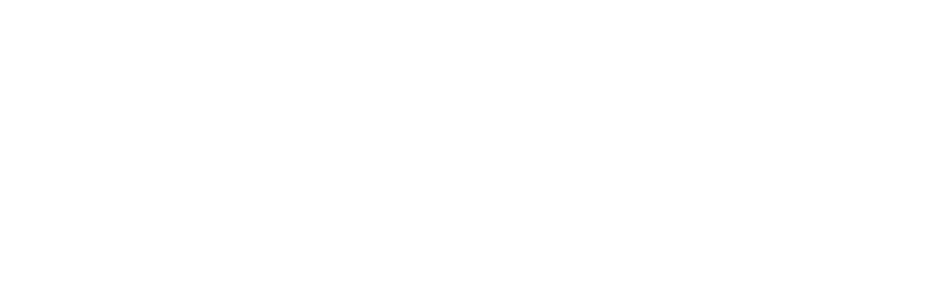 Ficus Bar Madrid